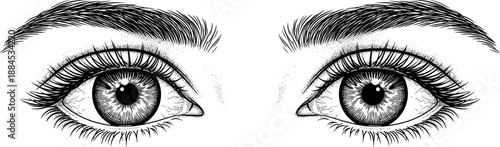 Detailed Black and White Illustration of Expressive Human Eyes Looking Forward