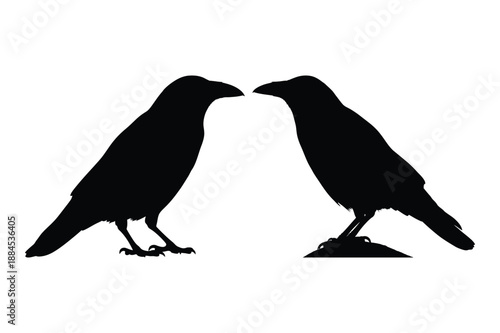 Two Ravens Silhouette