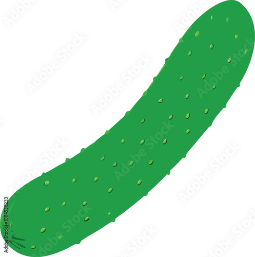 A vibrant green cucumber lies isolated on a pure white background display