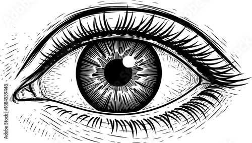 Intense Black and White Engraving Style Illustration of a Human Eye Symbolizing Vision Focus and Observation