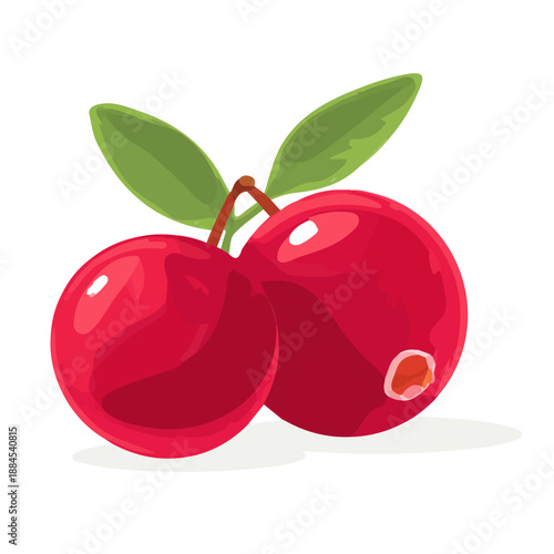 A simple and modern flat 2D vector of a Cranberry, isolated on a pure white background.