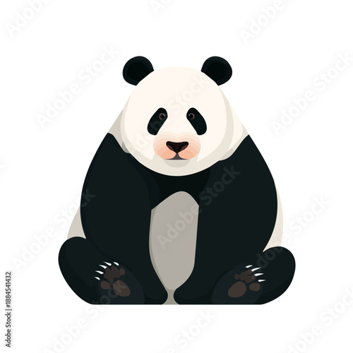 A simple and modern flat 2D vector of a Panda, isolated on a pure white background.