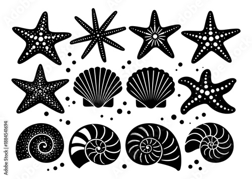 Monochrome graphic marine life set featuring starfish, scallop shells and nautilus shells for summer and ocean themes