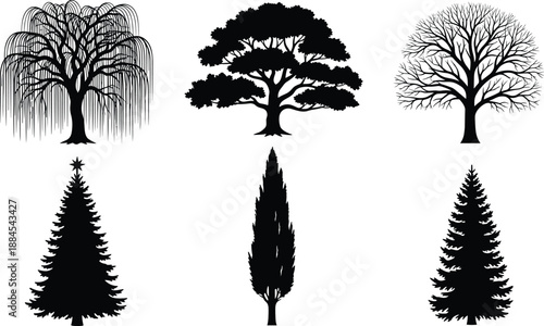 Tree Trees Nature Forest Plant Botanical Landscape Silhouette Oak Pine Willow Cedar Fir Evergreen Deciduous Black Vector Illustration Collection