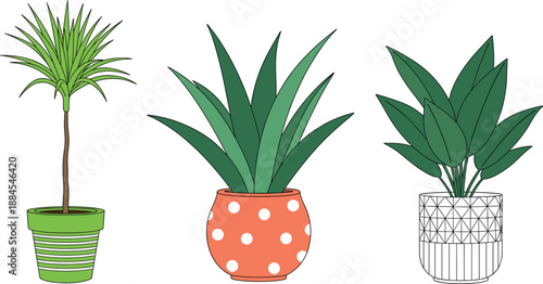 Vector illustration set featuring modern indoor potted plants including succulents and tropical greenery for home and office decor