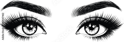 Realistic female eyes vector illustration with long eyelashes and eyebrows in detailed black and white style isolated on white background