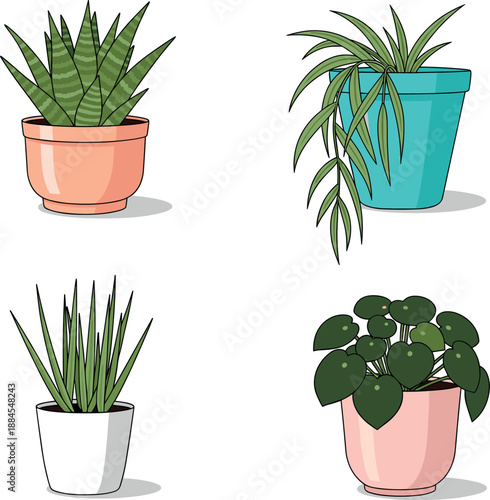 Vector illustration set featuring modern indoor houseplants potted succulents snake plants and trailing greenery for home office decor