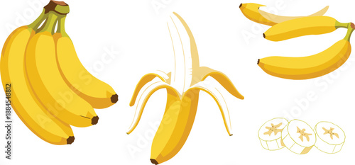 Fresh banana fruit vector set with whole peeled and sliced bananas isolated on white background for food and nutrition design