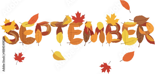 September A Fall Season Greeting, Leaves and Autumnal Vibes for Seasonal Design Projects