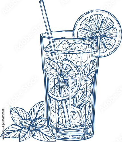 Fresh summer cocktail drawing sketch vector illustration mint and lemon slices in glass