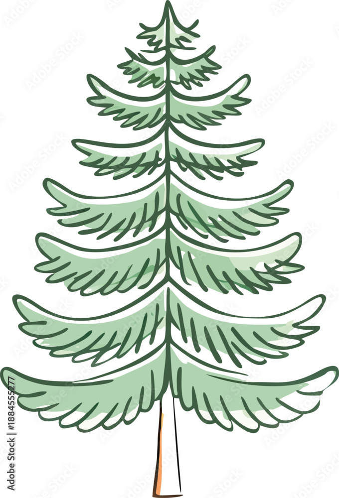 Obraz premium A simple hand drawn illustration of a classic evergreen coniferous tree high quality