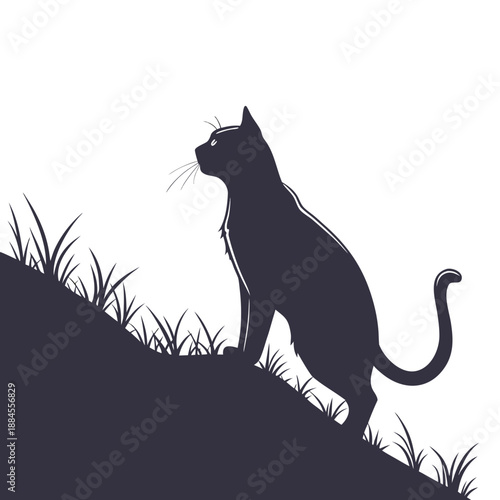 black cat silhouette  on a branch
