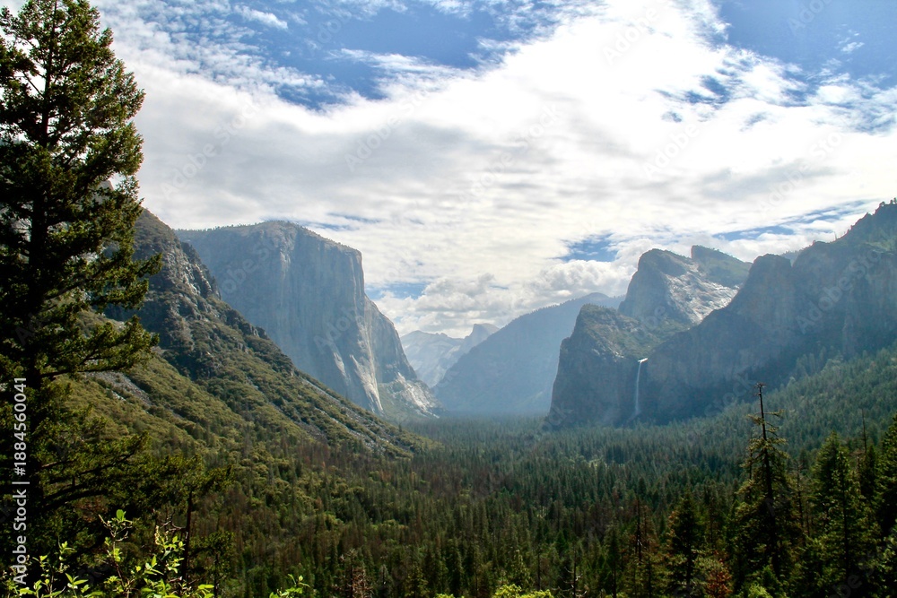 Obraz premium yosemite valley in summer