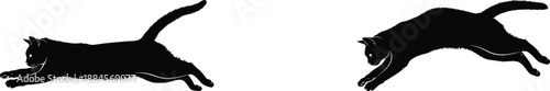 cat silhouette on white background