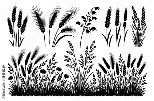 Hand drawn silhouette cereal crops set featuring diverse wheat, rye, oat, and barley ears with wild grasses for organic food labels and farming designs
