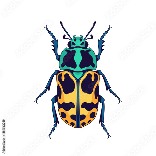 Top view of a colorful beetle illustration featuring vibrant green and yellow patterns with detailed anatomy on a white background.