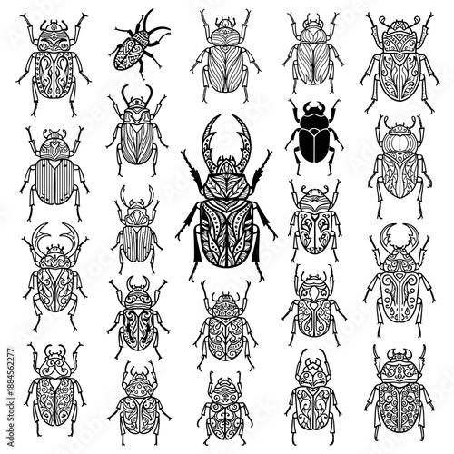Extensive set of beetle illustrations featuring ornate decorative patterns shown in both detailed line art and solid black silhouettes.