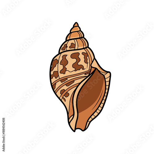 Detailed illustration of a spiral seashell with complex brown patterns and textures suitable for ocean and beach themed artwork.