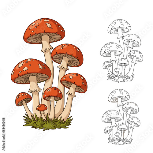 Classic red fly agaric mushrooms are illustrated in a charming cluster with separate line art versions for creative coloring.