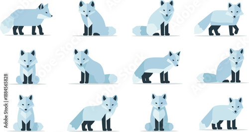 Set of cartoon arctic foxes in various poses isolated on white background