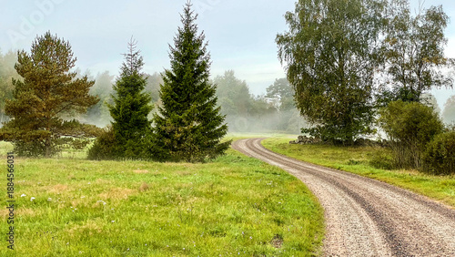 Gravel road through Swedish countryside on an early autumn morning