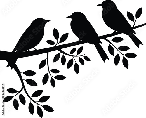 Monochrome Vector Illustration of Birds on Branch Depicted in Minimalist Silhouette Featuring Three Birds Perched on Leafy Tree Limb Facing Different Directions to Represent Nature, Balance, 