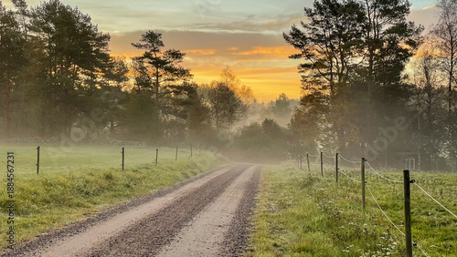 Gravel road through Swedish countryside on an early autumn morning