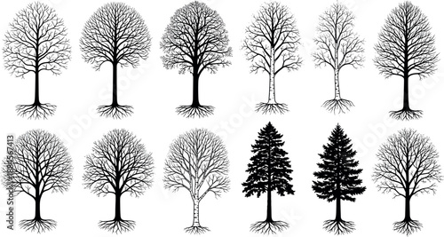 Collection of various tree silhouettes on white background for design use