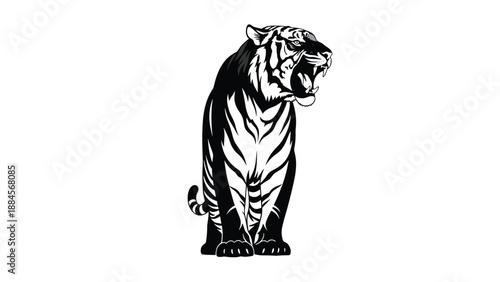 Powerful black and white illustration of a roaring tiger standing in a dominant pose against a white background.