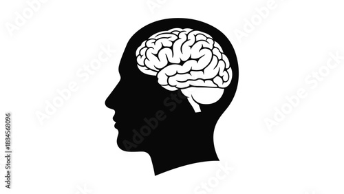 Profile silhouette of a human head featuring a detailed brain illustration inside to symbolize intelligence mental health and cognitive functions.
