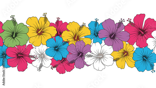 Vibrant horizontal border featuring a dense row of multi-colored hibiscus blossoms for tropical vacation and island summer theme designs.