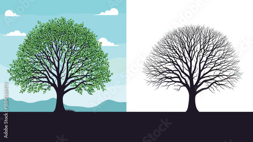 Comparison showing a large deciduous tree in full green leaf alongside its bare silhouette version for seasonal or environmental cycle concepts.