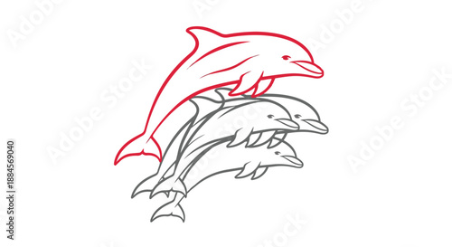 Vector illustration of two dolphins jumping out of water in red and gray
