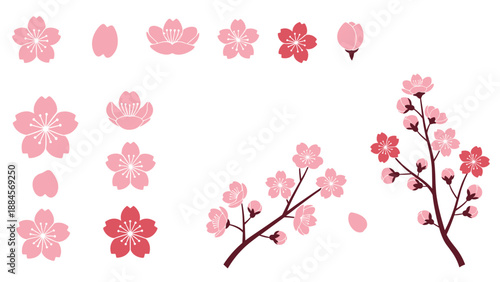 Diverse set of pink cherry blossom elements featuring individual flowers, falling petals, buds, and blooming branches on white background.