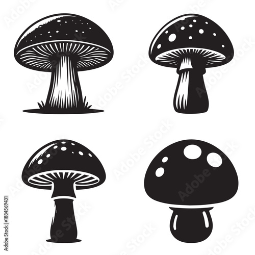 Collection of stylized black and white mushroom illustrations, perfect for nature and fantasy designs.