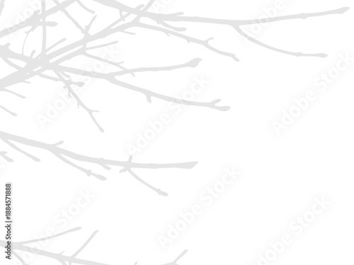 Abstract shadow of tree branches creating a natural overlay effect on transparent background