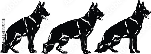 Set of black and white German Shepherd dog silhouettes in standing and alert poses for guard dog and pet design.