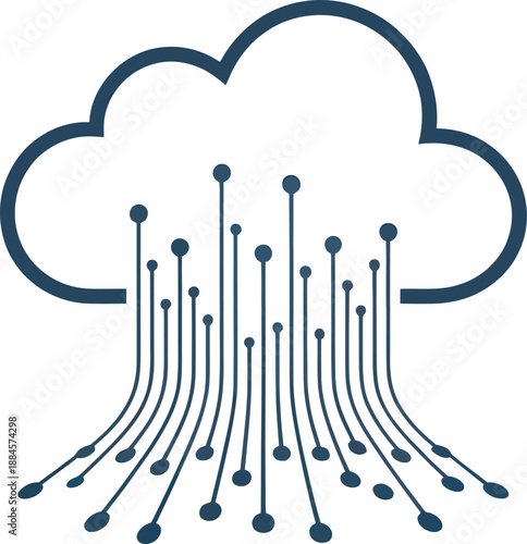 Cloud computing data flow with multiple network connections and distributed information system.