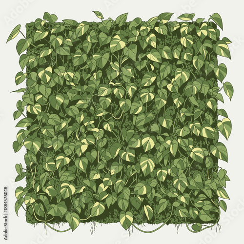 Vector Art of Dense Wall of Pothos Growing on Moss Pole System