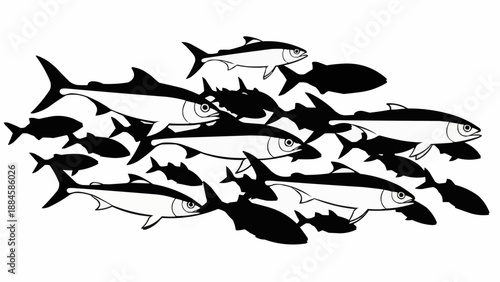 School of fish swimming together in unison marine life.