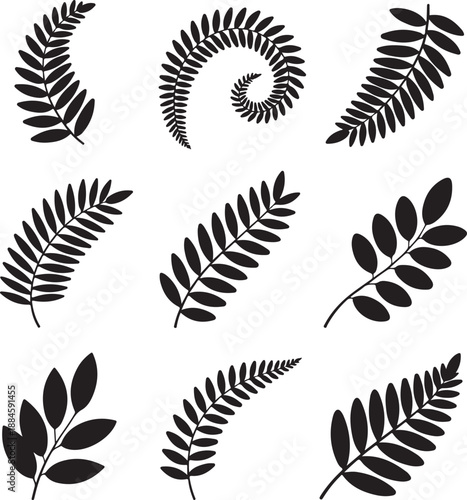 Black silhouette of various fern leaves on white background