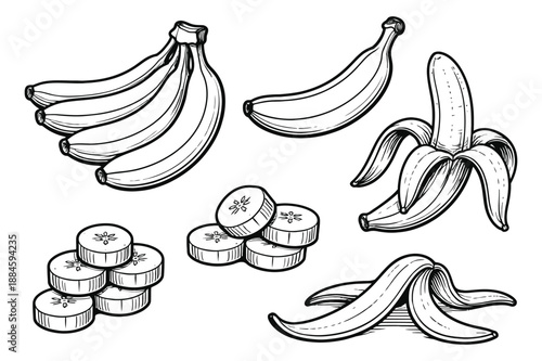 Hand drawn line art banana set featuring whole, peeled, sliced bananas and a peel for food and fruit concepts