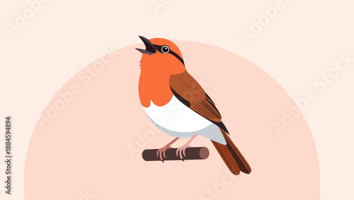Small orange and white bird perched on a branch singing