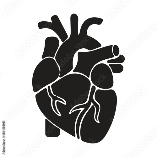 Black solid icon of human anatomical heart organ symbolizing cardiology or life support vector