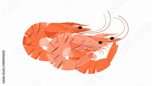 Two stylized orange shrimp curled together on a white background