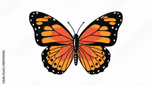 Winged insect with orange, black, and white markings