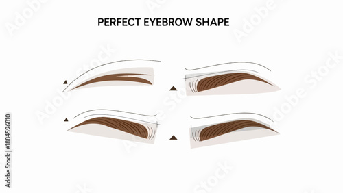 Step-by-step illustration showing the ideal eyebrow shape