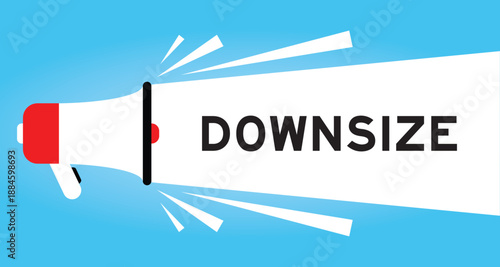 Color megaphone icon with word downsize in white banner on blue background