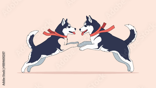 Two playful husky dogs wearing red scarves, jumping towards each other