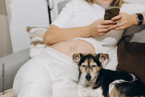 Pregnant Woman Relaxing On A Sofa At Home With Her Dog, Holding A Smartphone. Concept Of Modern Maternity, Everyday Pregnancy Life, Emotional Comfort, And Companionship During Pregnancy. Cozy Indoor